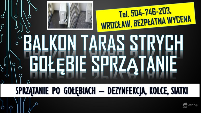 golebie-oczyszczanie-balkonu-tel-504-746-203-usuwanie-zabrudzen-po-ptakach-wroclaw-big-3