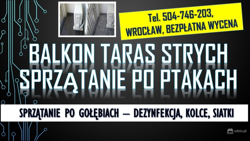 golebie-oczyszczanie-balkonu-tel-504-746-203-usuwanie-zabrudzen-po-ptakach-wroclaw-big-1