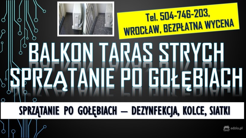 golebie-oczyszczanie-balkonu-tel-504-746-203-usuwanie-zabrudzen-po-ptakach-wroclaw-big-0