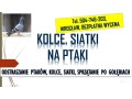 odstraszanie-golebi-wroclaw-tel-504-746-203-ploszenie-ptakow-cena-small-2