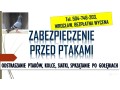 odstraszanie-golebi-wroclaw-tel-504-746-203-ploszenie-ptakow-cena-small-1