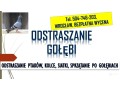 odstraszanie-golebi-wroclaw-tel-504-746-203-ploszenie-ptakow-cena-small-3