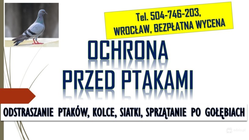 odstraszanie-golebi-wroclaw-tel-504-746-203-ploszenie-ptakow-cena-big-0