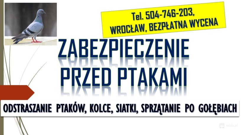 odstraszanie-golebi-wroclaw-tel-504-746-203-ploszenie-ptakow-cena-big-1