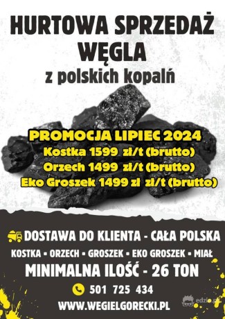 polski-wegiel-hurt-promocja-lipiec-2024-big-0