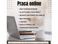 praca-stala-lub-dodatkowa-zdalna-w-domu-przez-internet-small-0