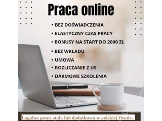 Praca stała lub dodatkowa zdalna, w domu, przez internet