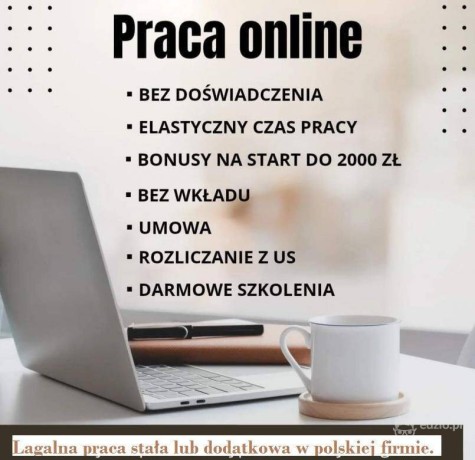 praca-stala-lub-dodatkowa-zdalna-w-domu-przez-internet-big-0