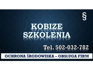 Szkolenie Raport do Kobize, tel. 504-746-203. Ćwiczenia, Warsztaty, cena ,