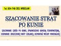 szacowanie-szkod-po-kunie-tel-504-746-203-wroclaw-wycena-szkody-welna-mineralna-small-0