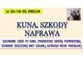 szacowanie-szkod-po-kunie-tel-504-746-203-wroclaw-wycena-szkody-welna-mineralna-small-3