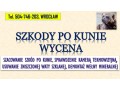 szacowanie-szkod-po-kunie-tel-504-746-203-wroclaw-wycena-szkody-welna-mineralna-small-2