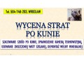 szacowanie-szkod-po-kunie-tel-504-746-203-wroclaw-wycena-szkody-welna-mineralna-small-1