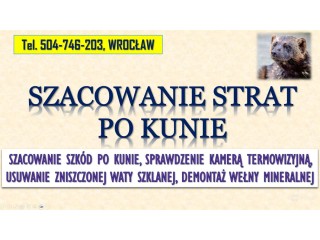 Szacowanie szkód po kunie, tel. 504-746-203, Wrocław. Wycena szkody, wełna mineralna