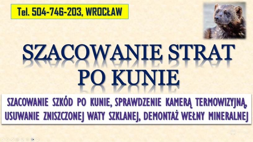 szacowanie-szkod-po-kunie-tel-504-746-203-wroclaw-wycena-szkody-welna-mineralna-big-0