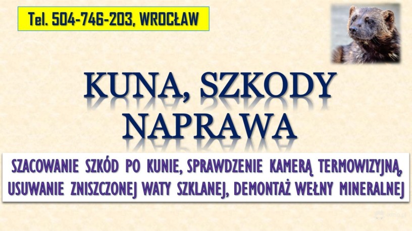 szacowanie-szkod-po-kunie-tel-504-746-203-wroclaw-wycena-szkody-welna-mineralna-big-3