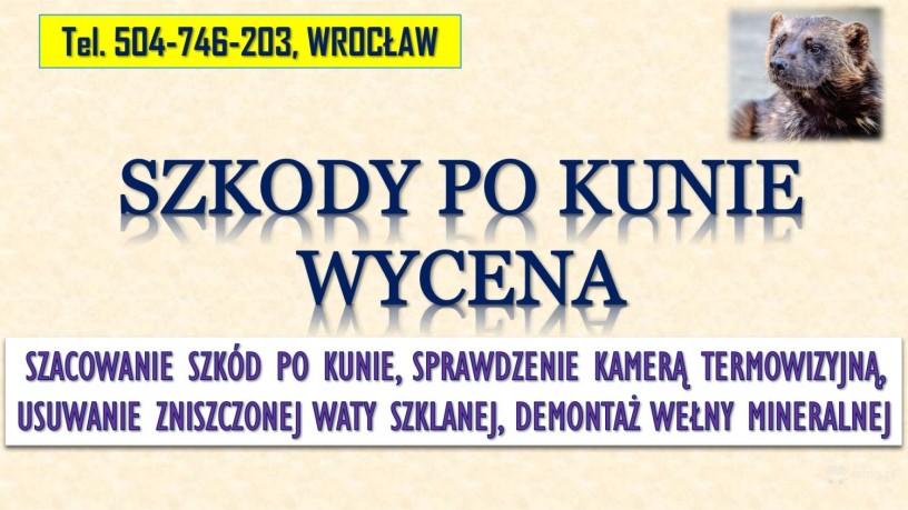 szacowanie-szkod-po-kunie-tel-504-746-203-wroclaw-wycena-szkody-welna-mineralna-big-2