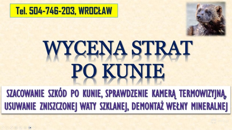 szacowanie-szkod-po-kunie-tel-504-746-203-wroclaw-wycena-szkody-welna-mineralna-big-1