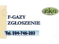 sprawozdanie-szwo-i-fgc-tel-504-746-203-do-bazy-danych-sprawozdan-za-fgazy-small-0